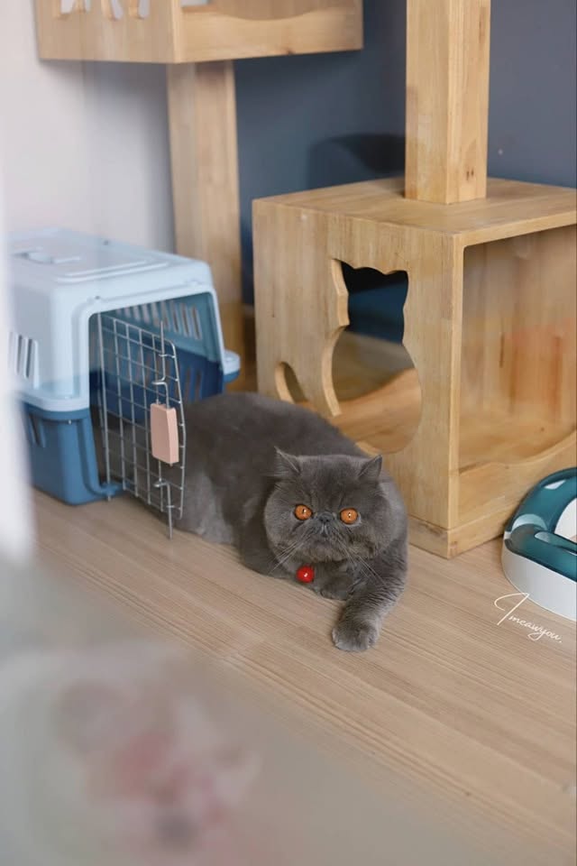 Room L