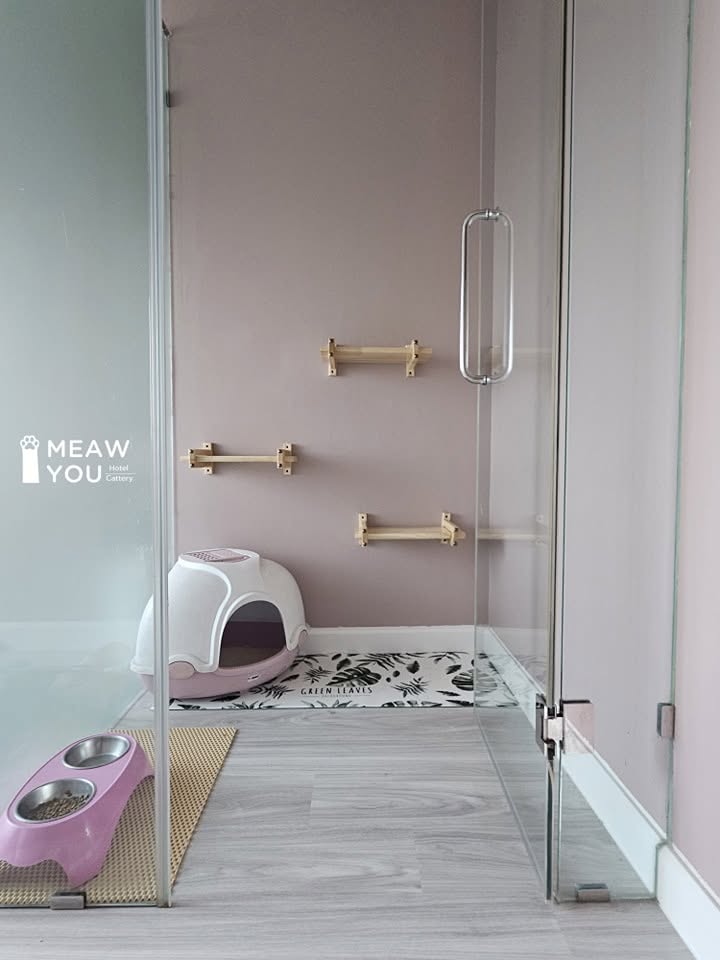 Room M