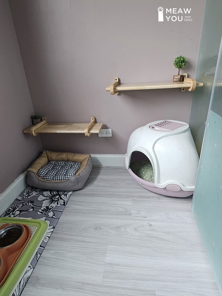 Room M