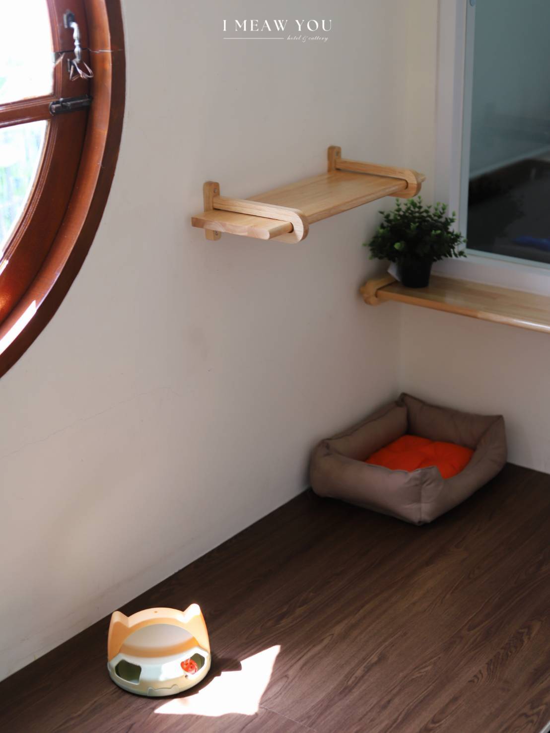Room 102